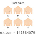 Female bust sizes chart comparing different breast shapes 141384079