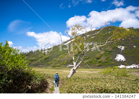 Mt. Hiuchi - Early summer hiking trails, trees, and Kurosawa Pond Mt. Hiuchi - Early summer hiking trails, trees, and Kurosawa Pond 141384247