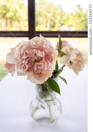 Soft pink peony blossoms in clear glass vase on bright white table with blurred garden view through window, elegant floral arrangement for home decor, wedding styling, seasonal still life Soft pink peony blossoms in clear glass vase on bright white table with blurred garden view through window, elegant floral arrangement for home decor, wedding styling, seasonal still life 141384272