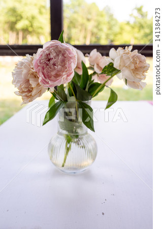 Pink and white peonies in clear glass vase on bright table beside window with soft blurred garden view and fresh green leaves creating elegant indoor floral decor Pink and white peonies in clear glass vase on bright table beside window with soft blurred garden view and fresh green leaves creating elegant indoor floral decor 141384273