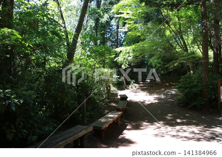 Mount Takao, Kobotoke Castle Mountain, Iccho-daira Mount Takao, Kobotoke Castle Mountain, Iccho-daira 141384966