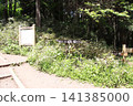 Mount Takao, Kobotoke Castle Mountain, Iccho-daira 141385000
