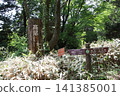 Mount Takao, Kobotoke Castle Mountain, Iccho-daira 141385001