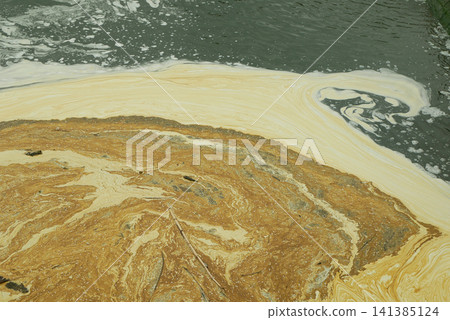 Nature induced water pollution environment yellowish film pond slick clumps streaks stain hydrophobic pollen covering floating settle visibly the surface of water lakes ponds river washout danger form Nature induced water pollution environment yellowish film pond slick clumps streaks stain hydrophobic pollen covering floating settle visibly the surface of water lakes ponds river washout danger form 141385124