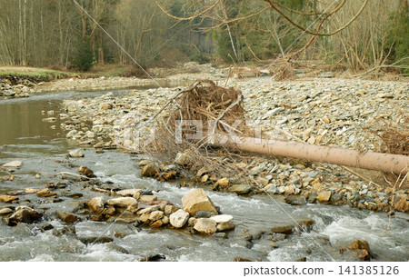 Floodwaters washes away aftermath of flood river Cerna Opava Jeseniky damage land uprooting trees wood scouring windthrow affected plants sewerage lake gravel alluvium benches terraces debris stones 141385126
