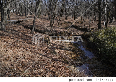 群馬縣,富士川上游和中游地區,富士川是流入榛名湖的唯一河流,2026 年 1 月 18 日。 群馬縣,富士川上游和中游地區,富士川是流入榛名湖的唯一河流,2026 年 1 月 18 日。 141385445