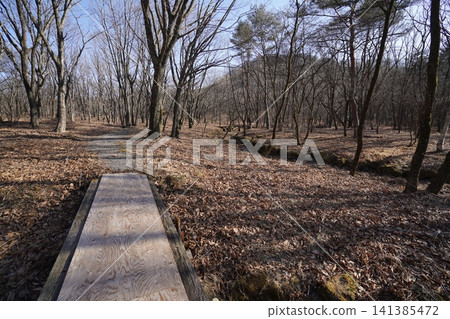 群馬縣,富士川上游和中游地區,富士川是流入榛名湖的唯一河流,2026 年 1 月 18 日。 群馬縣,富士川上游和中游地區,富士川是流入榛名湖的唯一河流,2026 年 1 月 18 日。 141385472