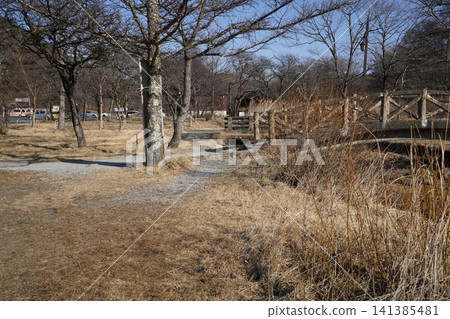 Gunma Prefecture, the lower reaches of the Fuji River, the only river flowing into Lake Haruna, near its mouth, January 18, 2026. Gunma Prefecture, the lower reaches of the Fuji River, the only river flowing into Lake Haruna, near its mouth, January 18, 2026. 141385481