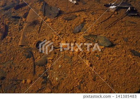 Gunma Prefecture, lower reaches of the Fuji River, the only river flowing into Lake Haruna, near the river mouth, riverbed, January 18, 2026. Gunma Prefecture, lower reaches of the Fuji River, the only river flowing into Lake Haruna, near the river mouth, riverbed, January 18, 2026. 141385483