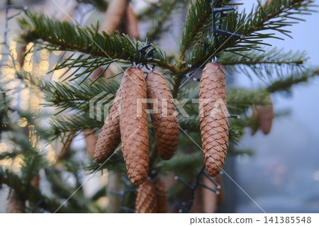 Spruce branch adorned with pine cones and festive lights Spruce branch adorned with pine cones and festive lights 141385548