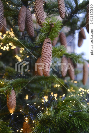 Pine cones and twinkling lights on an evergreen tree Pine cones and twinkling lights on an evergreen tree 141385550