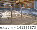 Patches of white snow rest on concrete stairs next to bright metal handrails 141385873