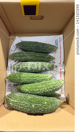 Okinawan bitter melon (goya) Okinawan bitter melon (goya) 141385898