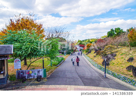 Fukuchi Sanroku Hana Park in Nogata City, Fukuoka Prefecture, where you can enjoy seasonal flowers Fukuchi Sanroku Hana Park in Nogata City, Fukuoka Prefecture, where you can enjoy seasonal flowers 141386389