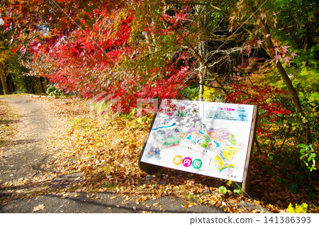Autumn stroll through Fukuchiyama foothills flower park in Nogata City, Fukuoka Prefecture Autumn stroll through Fukuchiyama foothills flower park in Nogata City, Fukuoka Prefecture 141386393