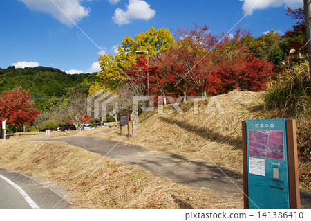 Autumn walking trail through the autumn foliage forest in Nagamitsuji, Nogata City, Fukuoka Prefecture 141386410