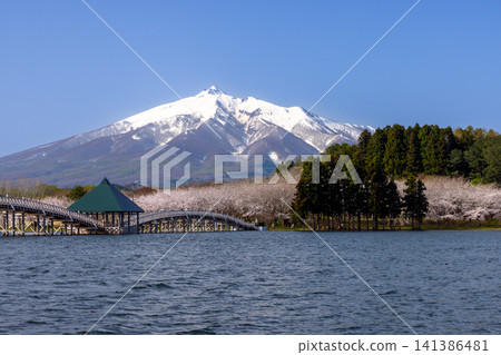 Tsuruta Town, Kitatsugaru District, Aomori Prefecture: Tsuru no Mai Bridge, a triple-drum wooden bridge spanning Lake Tsugaru Fujimi, cherry blossoms at Lake Fujimi Park, and Mt. Iwaki with remaining snow Tsuruta Town, Kitatsugaru District, Aomori Prefecture: Tsuru no Mai Bridge, a triple-drum wooden bridge spanning Lake Tsugaru Fujimi, cherry blossoms at Lake Fujimi Park, and Mt. Iwaki with remaining snow 141386481