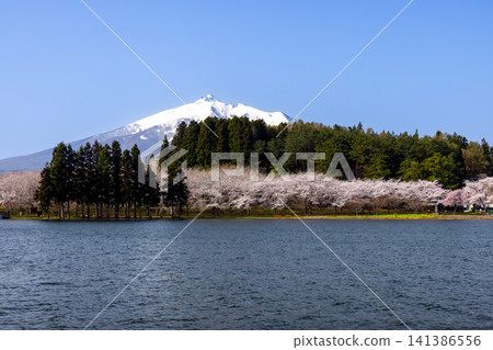 Cherry blossoms and snow-capped Mt. Iwaki at Tsugaru Fujimi Lake Park, known for its Tsuru-no-Mai Bridge, a three-arched wooden bridge in Tsuruta Town, Kitatsugaru District, Aomori Prefecture. Cherry blossoms and snow-capped Mt. Iwaki at Tsugaru Fujimi Lake Park, known for its Tsuru-no-Mai Bridge, a three-arched wooden bridge in Tsuruta Town, Kitatsugaru District, Aomori Prefecture. 141386556
