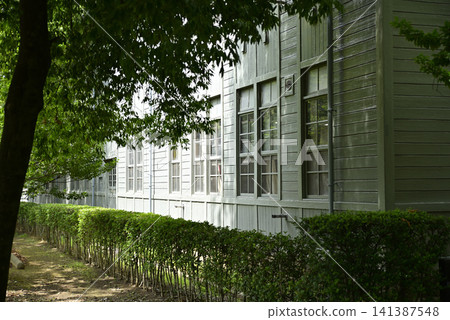 你的森林公園 你的森林公園 141387548
