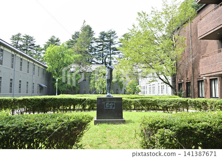 你的森林公園 你的森林公園 141387671