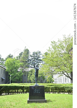 你的森林公園 141387674