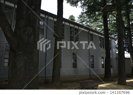 你的森林公園 你的森林公園 141387696