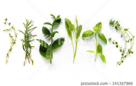 Fresh culinary herbs creating healthy cooking concept 141387966