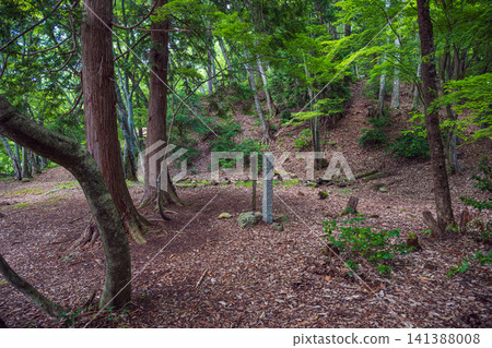 Shiga Prefecture, Odani Castle, Komaru Ruins 141388008