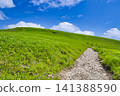 [Nagano Prefecture] Summer Hiking in Kirigamine Plateau from Kurumayama Shoulder to Kurumayama 141388590