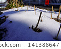 Snow scene 141388647