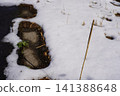 Snow scene 141388648