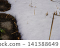 Snow scene 141388649