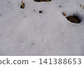 Snow scene 141388653