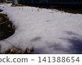 Snow scene 141388654
