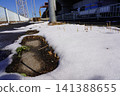 Snow scene 141388655