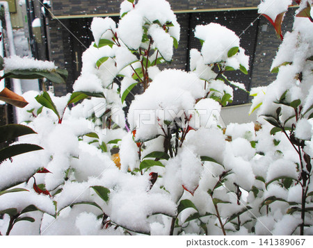 Various scenes caused by snow in urban areas Various scenes caused by snow in urban areas 141389067