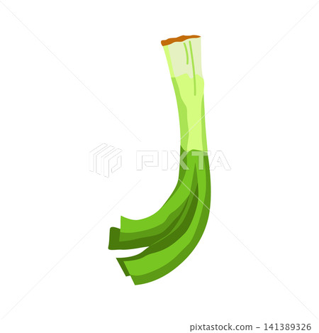 Vegetable alphabet letter J shaped from green leek stalk with trimmed root, curved leaves, fresh garden texture, clean flat illustration for education, food, children design Vegetable alphabet letter J shaped from green leek stalk with trimmed root, curved leaves, fresh garden texture, clean flat illustration for education, food, children design 141389326