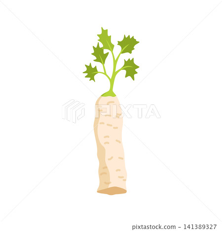 Letter I of single white radish with leafy green top, isolated on white background for food, garden themes, educational charts, packaging, and healthy produce design Letter I of single white radish with leafy green top, isolated on white background for food, garden themes, educational charts, packaging, and healthy produce design 141389327