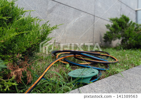 Automatic drip irrigation system with hose and accessories near green shrubs on concrete surface Automatic drip irrigation system with hose and accessories near green shrubs on concrete surface 141389563