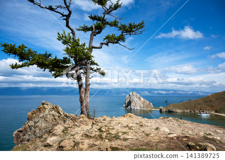 Coniferous tree on a cliff overlooking Lake Baikal, Olkhon Island in Siberia. Summer landscape with blue water, sky and mountains Coniferous tree on a cliff overlooking Lake Baikal, Olkhon Island in Siberia. Summer landscape with blue water, sky and mountains 141389725