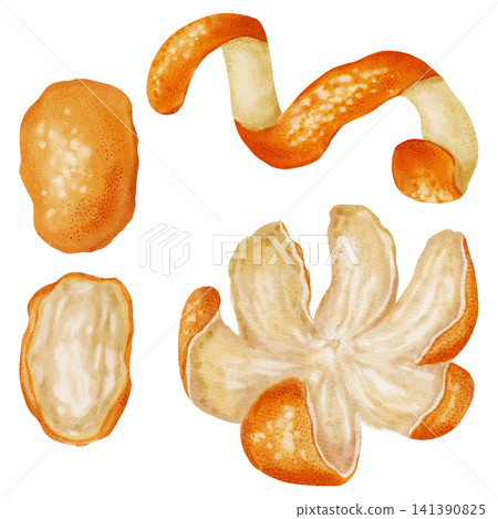 A set of mandarin and orange peels. Watercolor illustration of a tangerine. Citrus fruits. Perfect for New Year designs, packaging, menus, branding, and food packaging A set of mandarin and orange peels. Watercolor illustration of a tangerine. Citrus fruits. Perfect for New Year designs, packaging, menus, branding, and food packaging 141390825