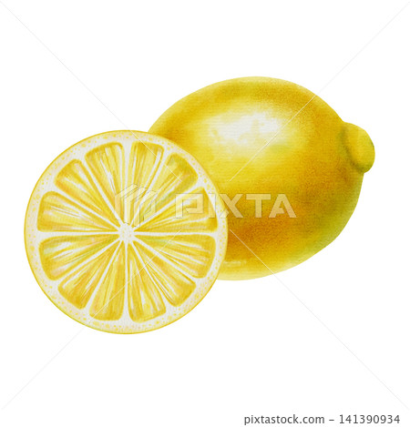 Watercolor lemon compositions with whole fruits, slices and green leaves. Hand drawn botanical illustration isolated on white. Perfect for fabric, wallpaper, packaging, and kitchen decor, cafe menu Watercolor lemon compositions with whole fruits, slices and green leaves. Hand drawn botanical illustration isolated on white. Perfect for fabric, wallpaper, packaging, and kitchen decor, cafe menu 141390934