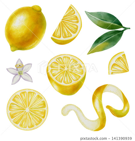 Watercolor set of fresh lemons. Includes whole lemons, halves, and round slices, leaves, and zest. Vibrant citrus elements for food design, packaging, home decor, and cocktail menus. Watercolor set of fresh lemons. Includes whole lemons, halves, and round slices, leaves, and zest. Vibrant citrus elements for food design, packaging, home decor, and cocktail menus. 141390939