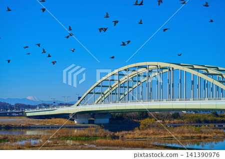 Winter view of the Tama Aqueduct Bridge, pigeons in flight, and Mount Fuji from Higashi-Izumi, Komae City, Tokyo. Winter view of the Tama Aqueduct Bridge, pigeons in flight, and Mount Fuji from Higashi-Izumi, Komae City, Tokyo. 141390976