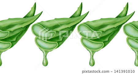 Watercolor aloe vera seamless border with sliced green leaves and juicy pulp. Horizontal botanical pattern for cosmetic, skincare packaging design. Watercolor aloe vera seamless border with sliced green leaves and juicy pulp. Horizontal botanical pattern for cosmetic, skincare packaging design. 141391010