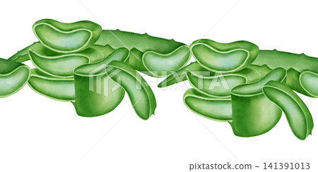 Watercolor aloe vera seamless border with sliced green leaves and juicy pulp. Horizontal botanical pattern for cosmetic, skincare packaging design. Watercolor aloe vera seamless border with sliced green leaves and juicy pulp. Horizontal botanical pattern for cosmetic, skincare packaging design. 141391013