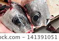 A close-up of a fresh tuna head and its large eyeballs. 141391051