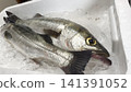 Two fresh Japanese sea bass lined up on the ice. 141391052
