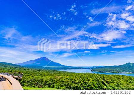 [Yamanashi Prefecture] View of Mt. Fuji from Yamanakako Myojinyama Panorama Platform 141391192