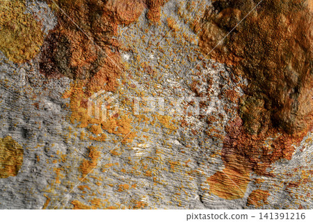 The texture of rusty concrete, a mix of brown and gray. The texture of rusty concrete, a mix of brown and gray. 141391216
